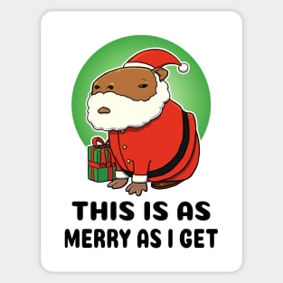 This is as merry as I get Capybara Santa Sticker